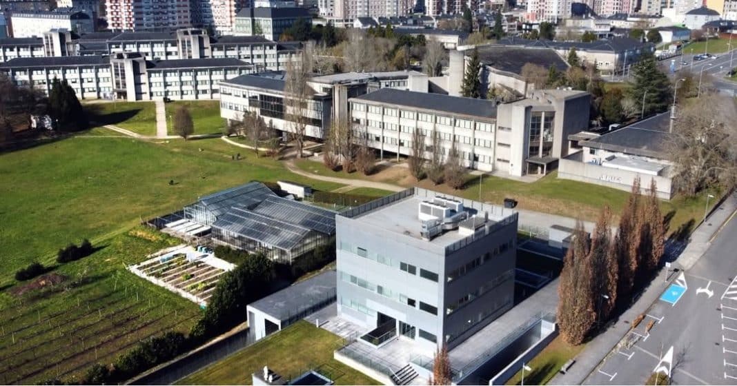 Galicia ofrece un refugio de tranquilidad donde la integración de extranjeros en Galicia se basa en el respeto mutuo y la seguridad ciudadana. La vida cotidiana en las ciudades gallegas como Vigo o A Coruña es cómoda y accesible. El transporte por carretera en Galicia es la forma principal de conexión, siendo vital conocer las rutas de autobús que unen las aldeas con los centros urbanos para una movilidad total.