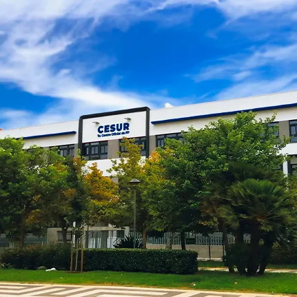 En el ámbito de la Formación Profesional, Cesur Madrid se ha convertido en uno de los centros más populares entre estudiantes extranjeros que buscan programas prácticos y orientados al empleo.