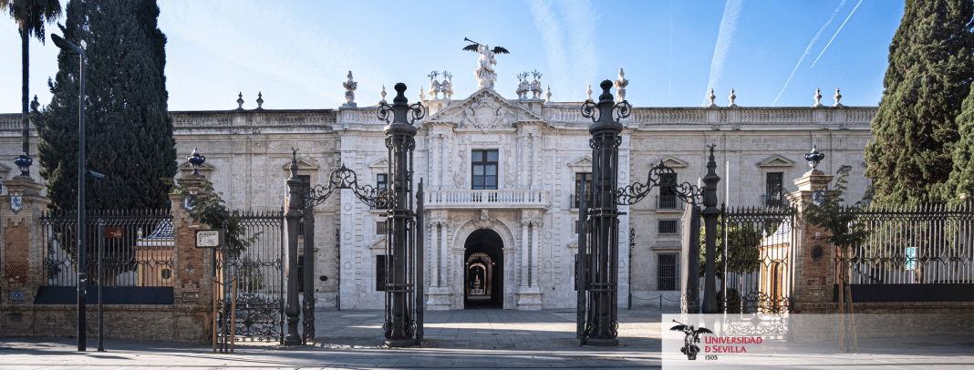 La Universidad de Sevilla es una de las más grandes y antiguas de España, con una oferta educativa muy amplia que abarca prácticamente todas las ramas del conocimiento. Su peso institucional la convierte en una referencia clave dentro del sistema universitario andaluz.